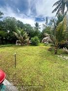 2520 FILLMORE ST, HOLLYWOOD, FL 33020  Photo 15
