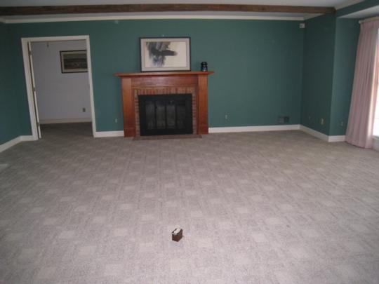 Image7
