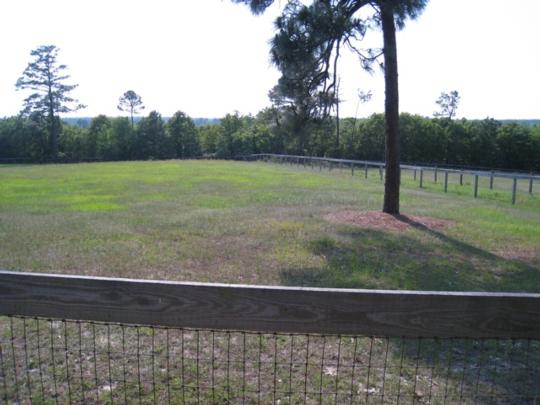 Image4