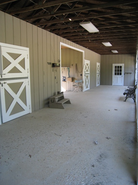 Image11