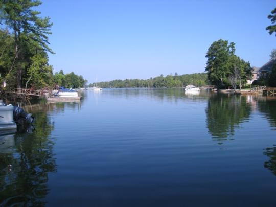 Image1