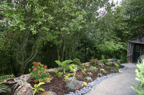 8343 SKYLINE BLVD, OAKLAND, CA 94611  Photo 20