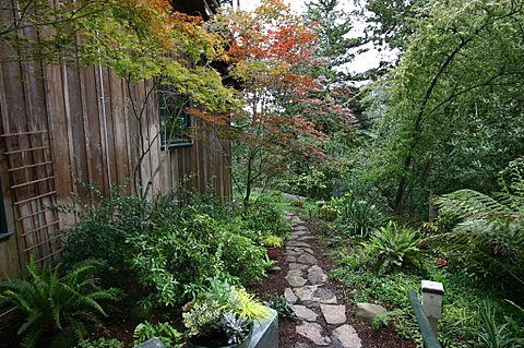 8343 SKYLINE BLVD, OAKLAND, CA 94611  Photo 21