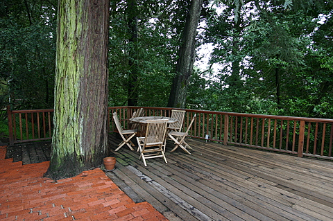 8343 SKYLINE BLVD, OAKLAND, CA 94611  Photo 18