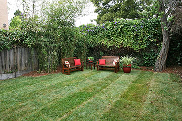 Image12