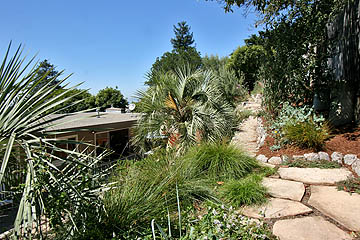 Image14