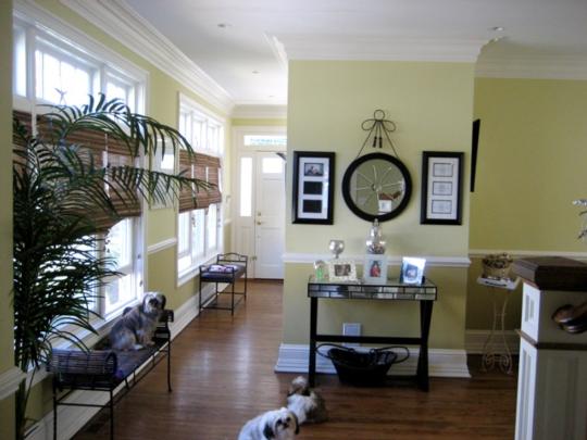 Image7