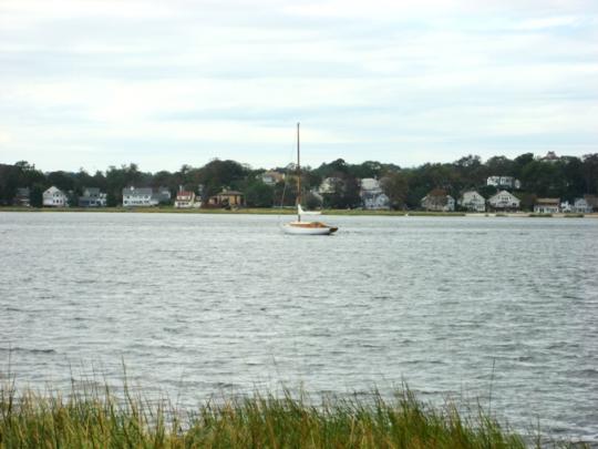 Image15