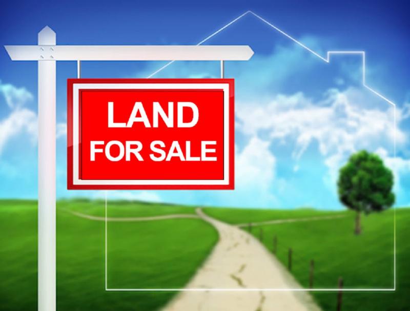 Janine Rose Homes for Sale in Warren NJ Realtors in NJ