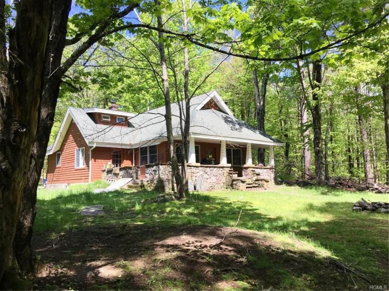 76 PLANK ROAD, MONGAUP VALLEY, NY 12762 Joy Romano Realtor