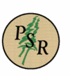 Placer Sierra Realty
