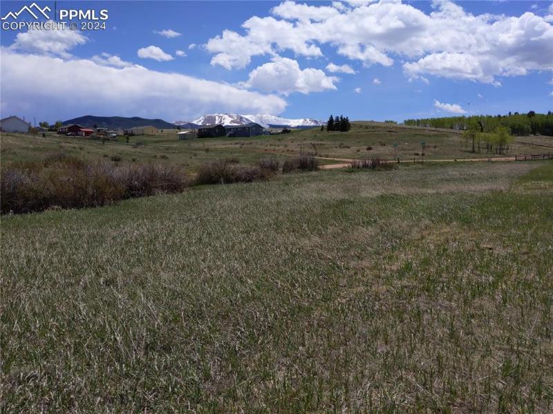 HERALD LANE, DIVIDE, CO 80814 | Chris Clark