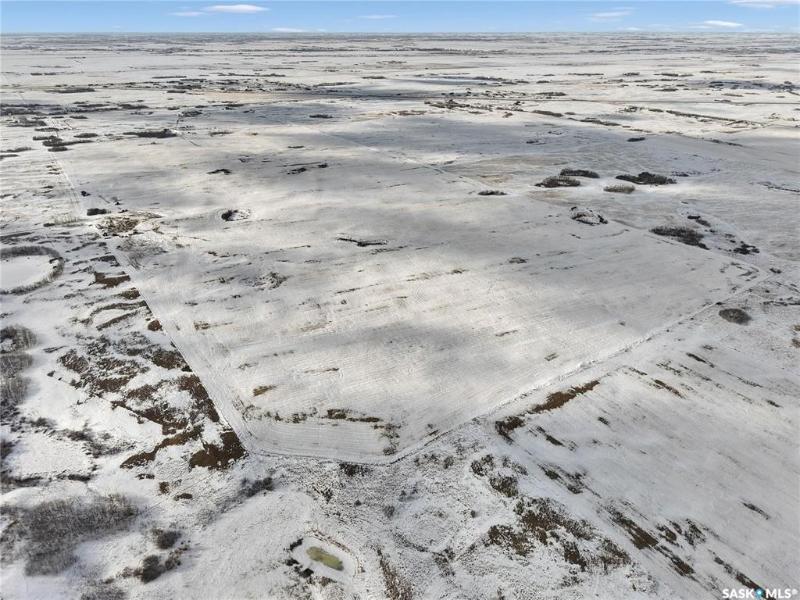 Hamoline Farmland, Aberdeen Rm No. 373, SK S7A 0A6