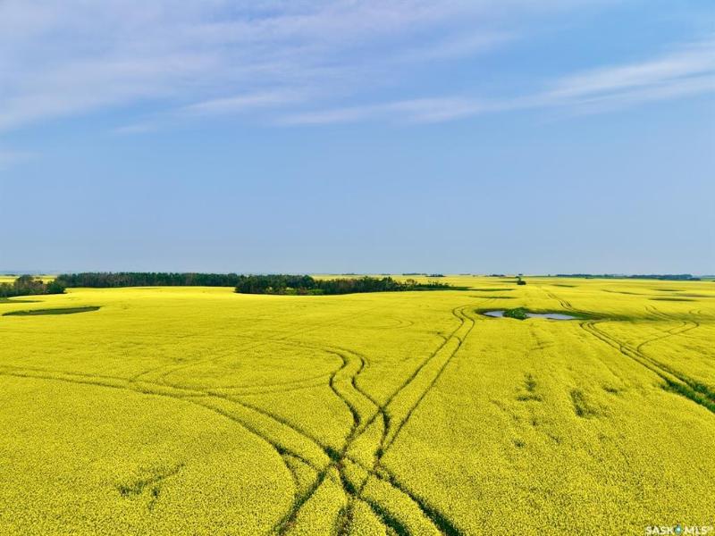 Aberdeen 625 Acres Grain Farmland, Aberdeen Rm No. 373, SK S0K 0A0