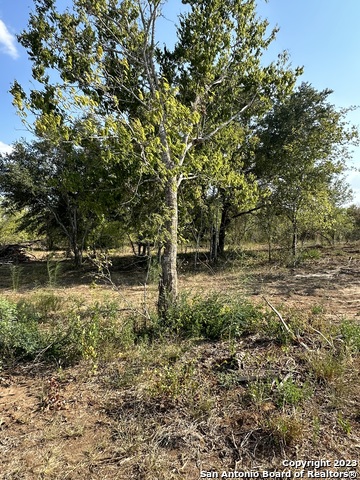 Number 1 for listing