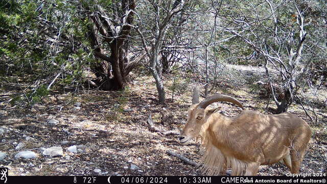 Number 1 for listing