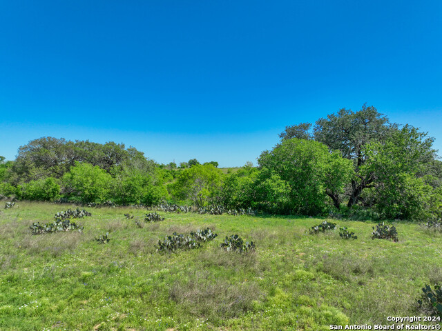 Number 1 for listing