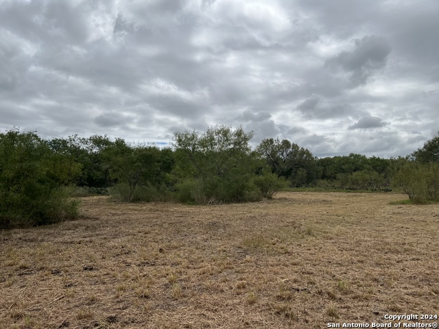 Number 1 for listing