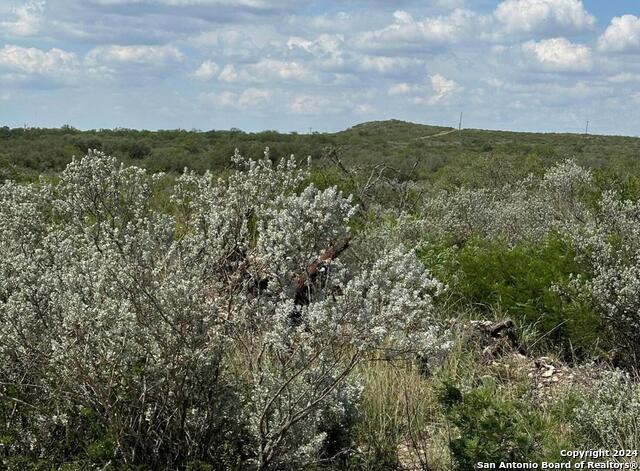 Number 1 for listing