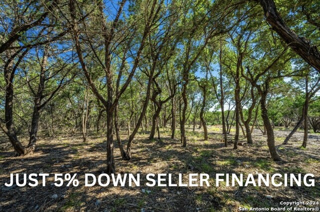 Number 1 for listing