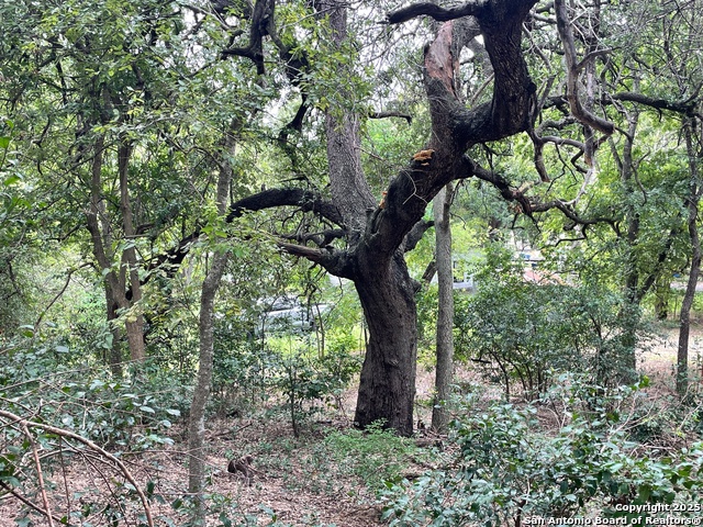 Number 1 for listing