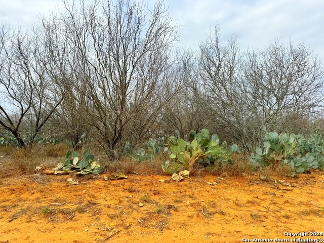 Number 1 for listing