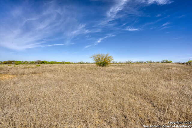 Number 1 for listing