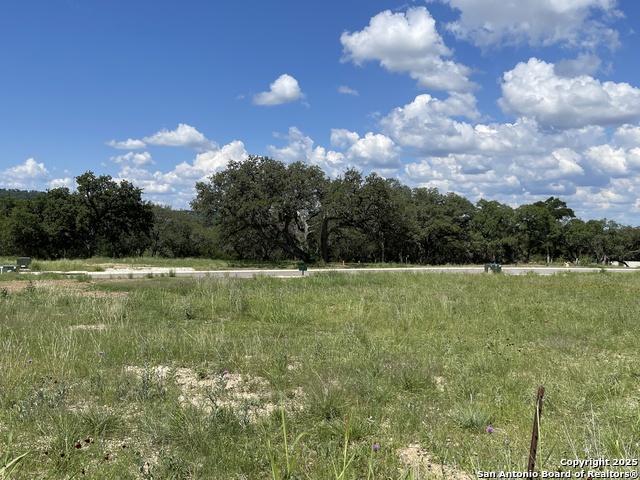 Number 1 for listing