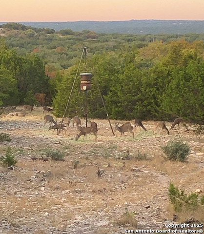 Number 1 for listing