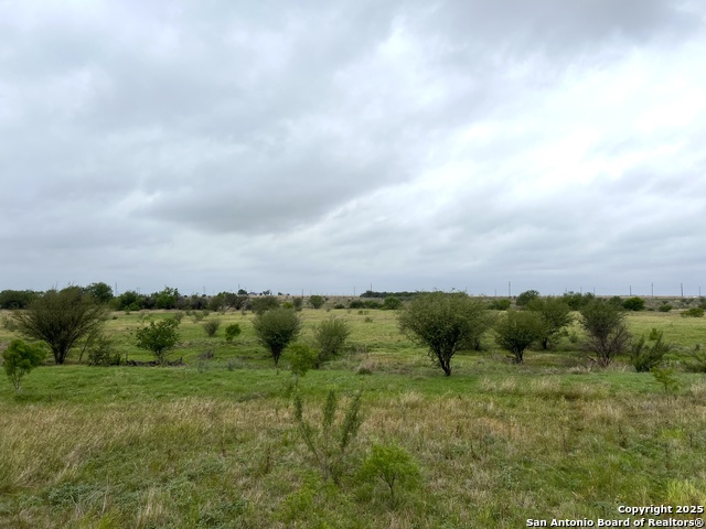 Number 1 for listing