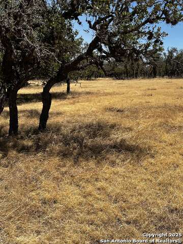 Number 1 for listing