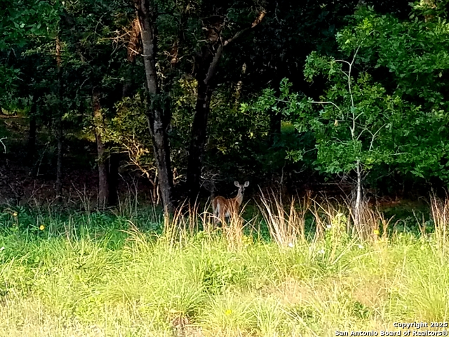 Number 1 for listing