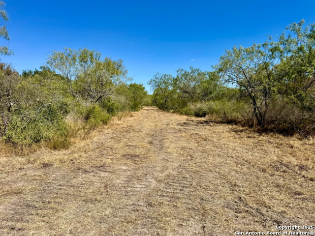 Number 1 for listing