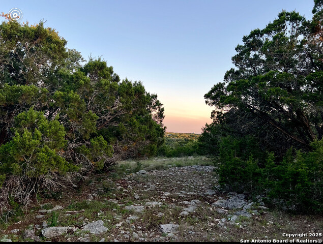 Number 1 for listing