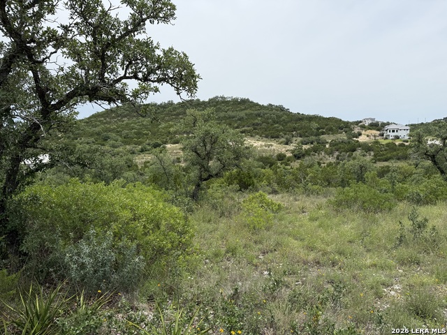 23518 Basse Cyn