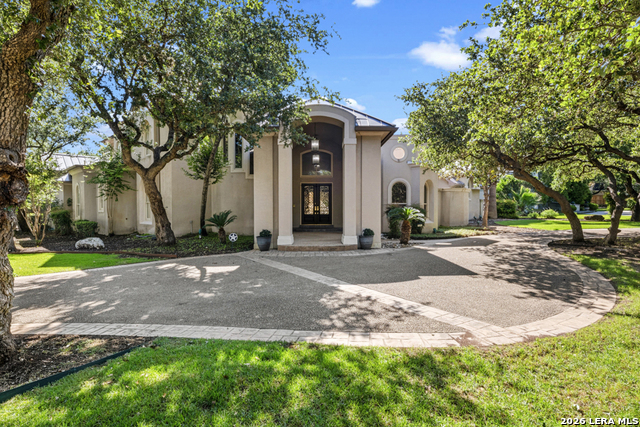 519 Blackjack Oak