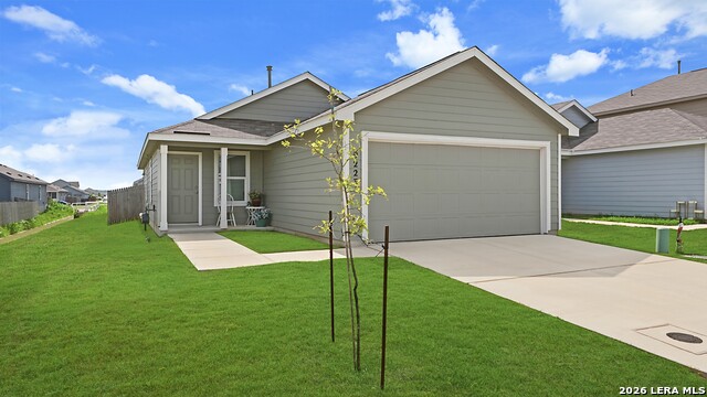 9223 Honey Mesquite