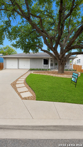 6907 Raintree