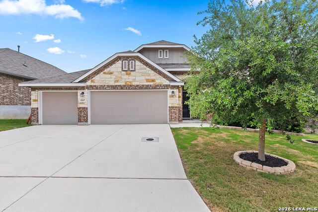 5317 Black Walnut