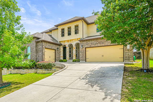 24219 Gazania Bluff