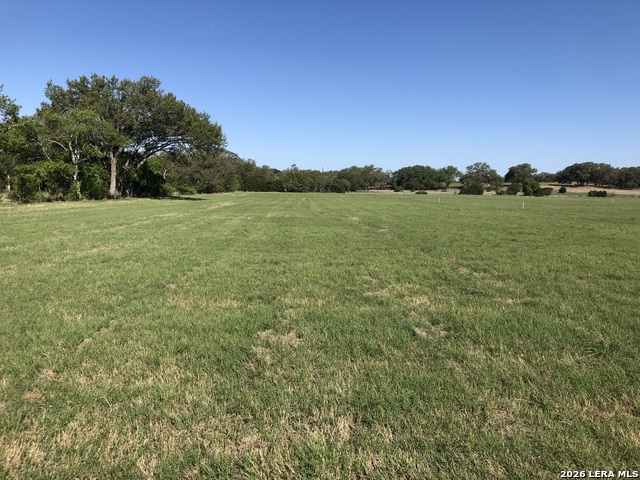 34587 Tiffany Belle Rd