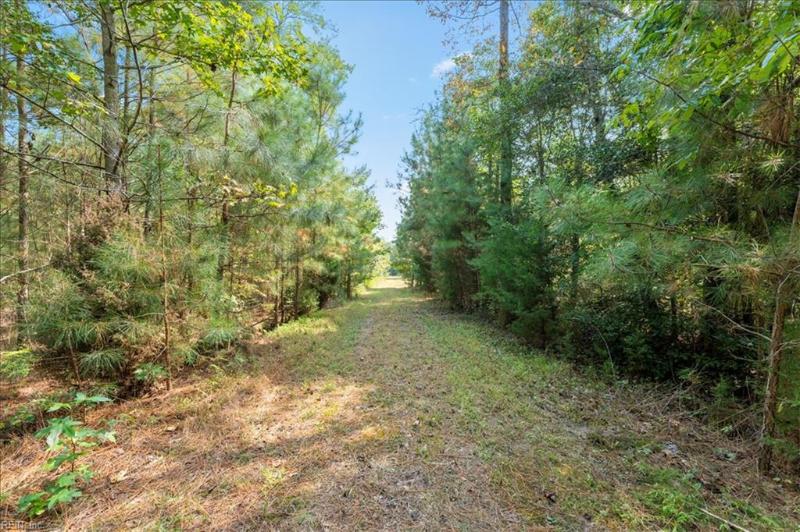 10312 Farys Mill Road, Gloucester County, VA 23061 | Slideshow Image #34
