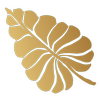 Board Logo