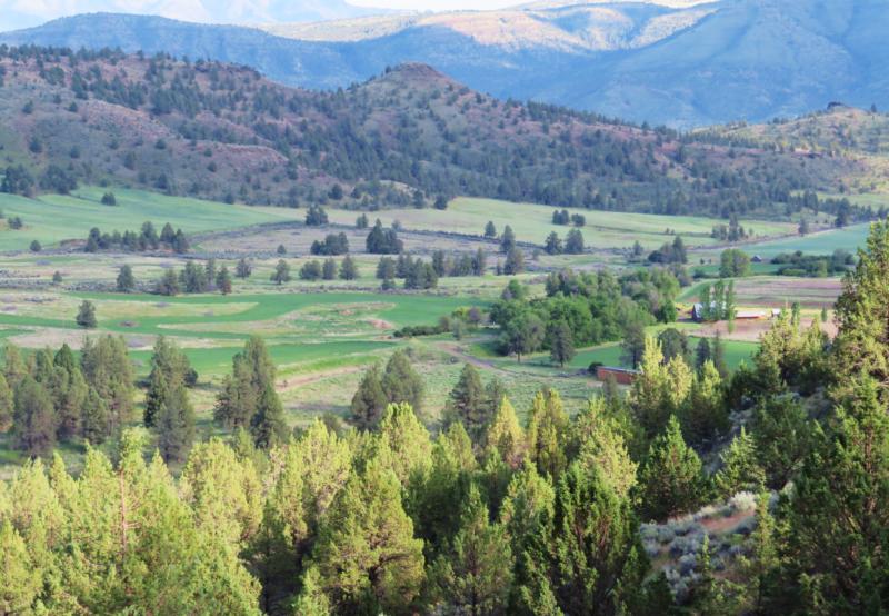Cupper Creek Ranch, Kimberly, Oregon 97848 Rich & Andy Wilburn